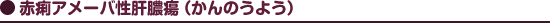 ●赤痢アメーバ性肝膿瘍（かんのうよう）