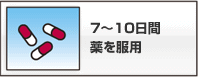 7～10日間薬を服用